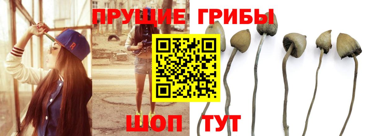 Набережные Челны  магазин продажи наркотиков  Вход с VPN  Галлюциногенные грибы мухоморы 